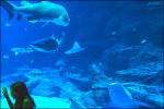 pack explorateur 5