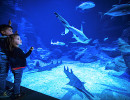 planetoceanworld2022 3
