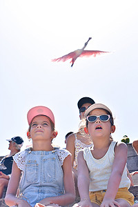 parc oiseaux scolaire simulation3