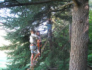drome aventure accrobranche scolaires vercors