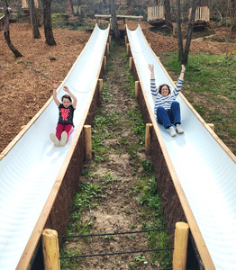 foret de champos tobogans