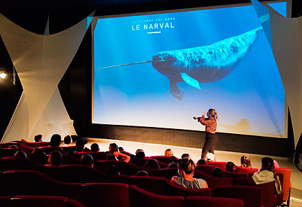 aquarium lyon animation