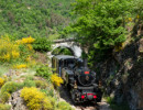 train ardeche pont vallee