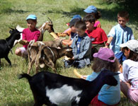 Mas de la Gallinière sorties scolaires, enfants, Gard 30