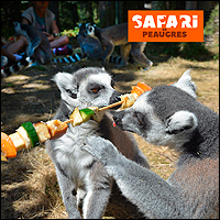 Safari de Peaugres en Ardèche