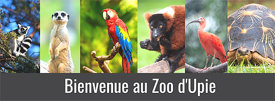 Zoo d'Upie  Parc zoologique et botanique