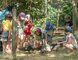 Zoo Upie Ecole mini ferme
