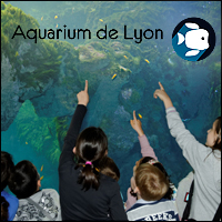 Sortie à l'Aquarium de Lyon