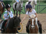 poney club de Laizé