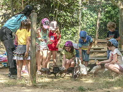 zoo d upie  ecole mini ferme