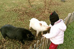 ferme pedagogique marinette maternelle