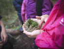 nature puy de dome