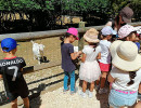 parc animalier vagnas sortie ecole