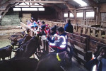 centre volcans visite ferme