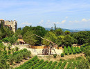 chateau des roure trebuchet