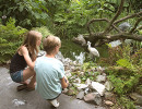 parc oiseaux sortie groupe enfants15