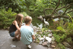 parc oiseaux sortie groupe enfants15