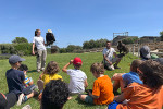 parc la barben demonstration oiseaux