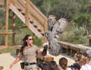 parc la barben spectacle oiseaux