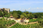 chateau des roure trebuchet