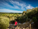 rocher maguelone foret panoramique