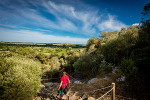 rocher maguelone foret panoramique