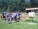 safari peaugres maternelle ferme