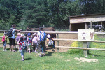 safari peaugres maternelle ferme