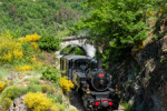 train ardeche pont vallee